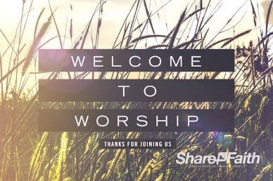 Kingdom of Heaven Wheat Welcome Video Loop