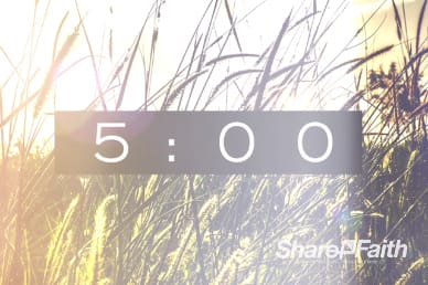Kingdom of Heaven Wheat Countdown Timer Video