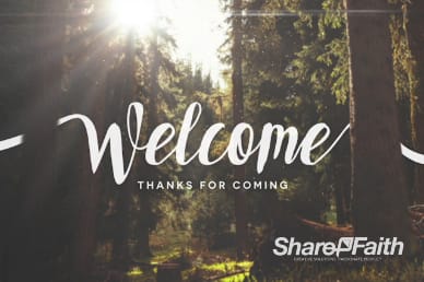 Easter Sunday Forest Welcome Video Loop