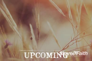 Authentic Faith Upcoming Events Motion Loop