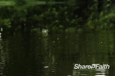 Ripples In The Water Nature Video Loop
