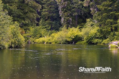 Forest Creek Nature Worship Video Background