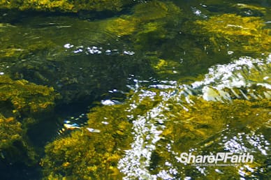 River Rock Nature Worship Video Loop