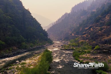 Misty River Nature Background Video