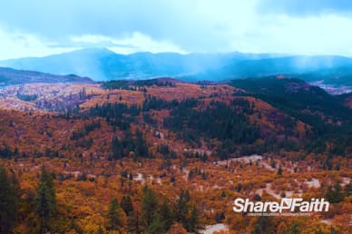 Autumn Landscape Nature Video Background