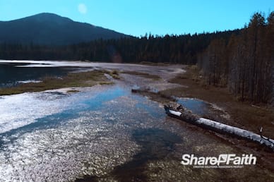 Lakeshore Nature Background Video