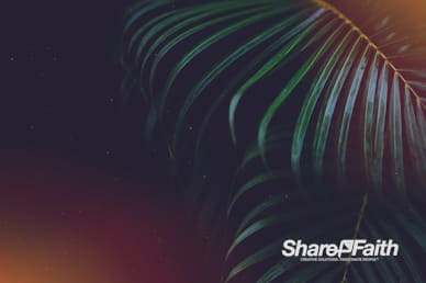 Palm Sunday Hosanna To The King Worship Video Background