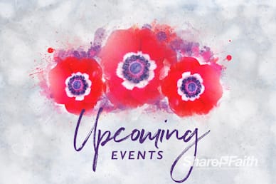 Remembrance Day Announcements Bumper Video