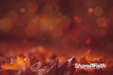 Give Thanks In All Circumstances Motion Graphic