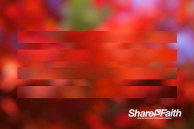 Red Stripe Bokeh Motion Background