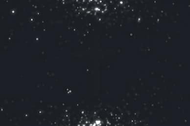 Worship Particles Silver Sparkle Motion Background