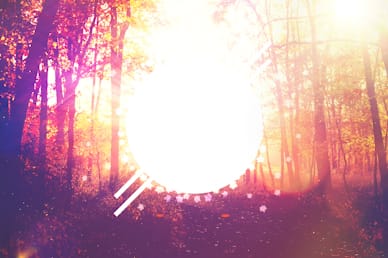 Fall Graphic Church Motion Background