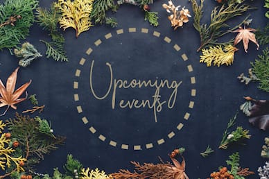 Celebrate Thanksgiving Together Events Church Motion Graphic