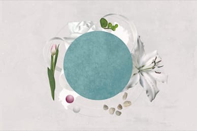Easter Sunday Lily No Text Motion Graphic
