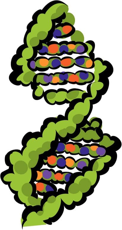 Colorful Double Helix