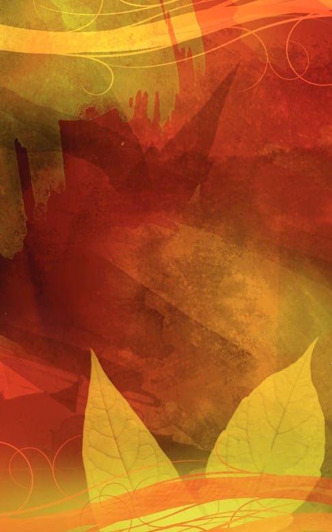 Fall Leaves Program Cover