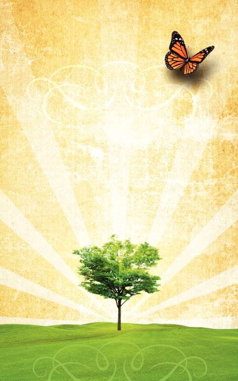 New Creation Bulletin Cover