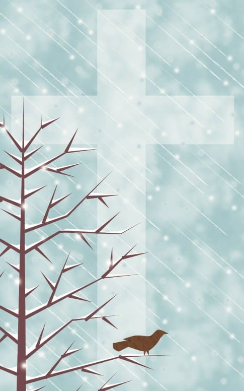 Cross and a Bird in a Snowy Tree Bulletin Cover