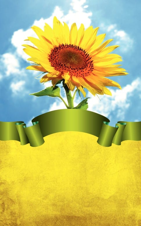 Flower Bulletin Cover
