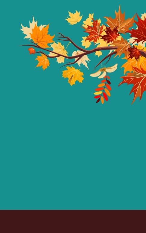Maple Leaf Program Art