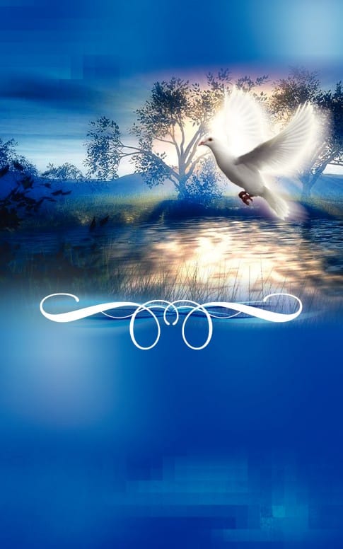 Shalom Church Bulletin Cover