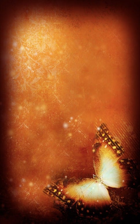 Butterfly Church Bulletin Cover
