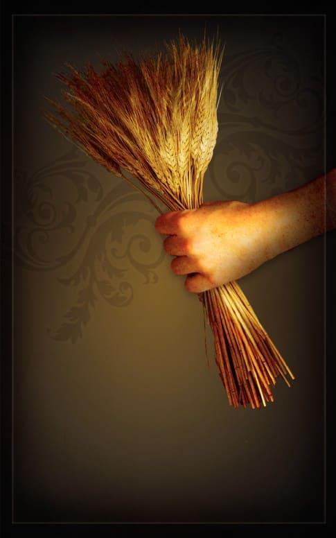 Sheaf of Wheat Bulletin Cover