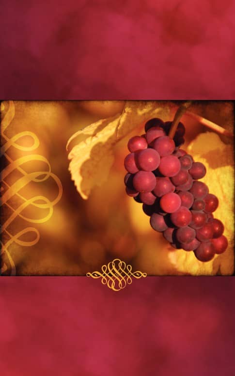 Full of Joy Thanksgiving Bulletin Cover