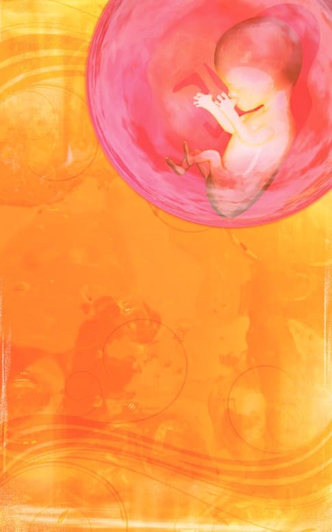 Gift of Life Creation Baby Church Bulletin Cover