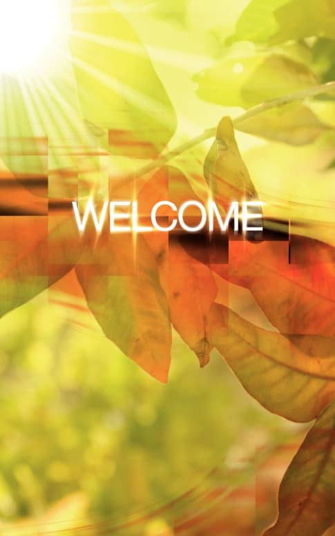 Summer Bulletin Cover