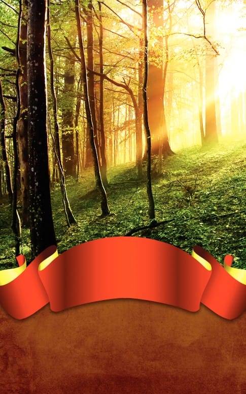 Forest Bulletin Cover