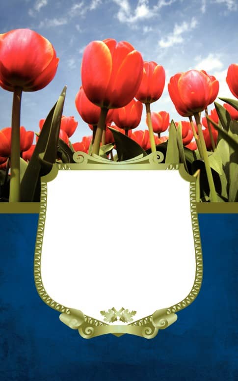 Spring Bulletin Cover