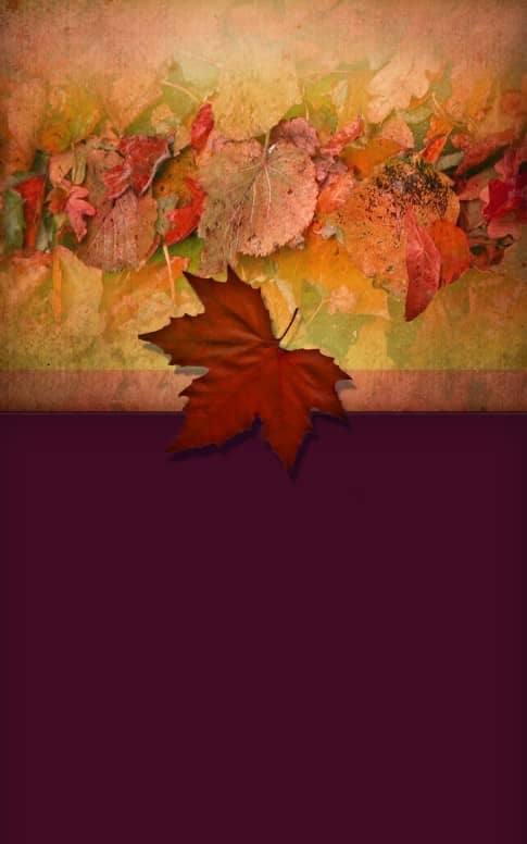 Pictures of Leaves Bulletin Cover