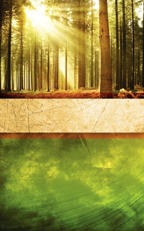 Trees Bulletin Cover