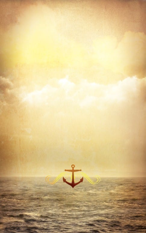 Sea Bulletin Cover