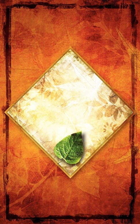 Green Leaf Bulletin Cover