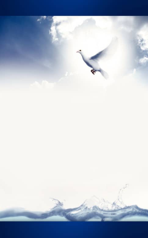 Dove Bulletin Cover Templates