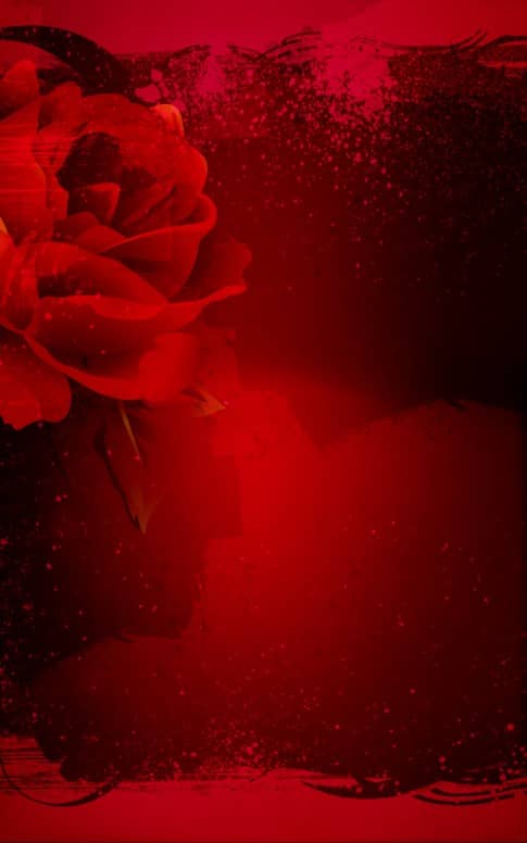 Valentines Flower Church Bulletin Cover