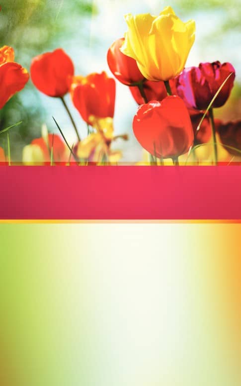 Easter Floral Church Bulletin
