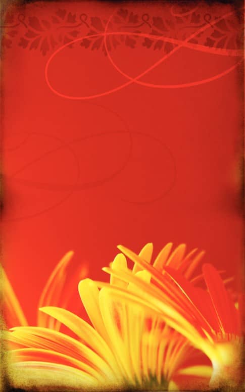 Mother's Day Flowers Bulletin