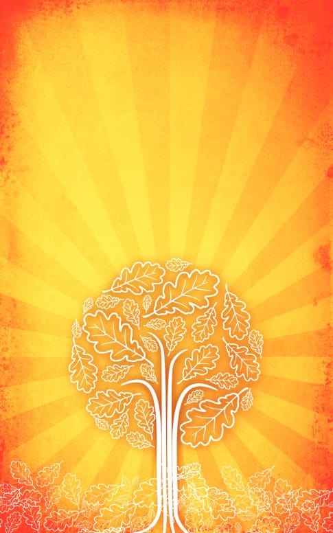 Orange Tree Bulletin