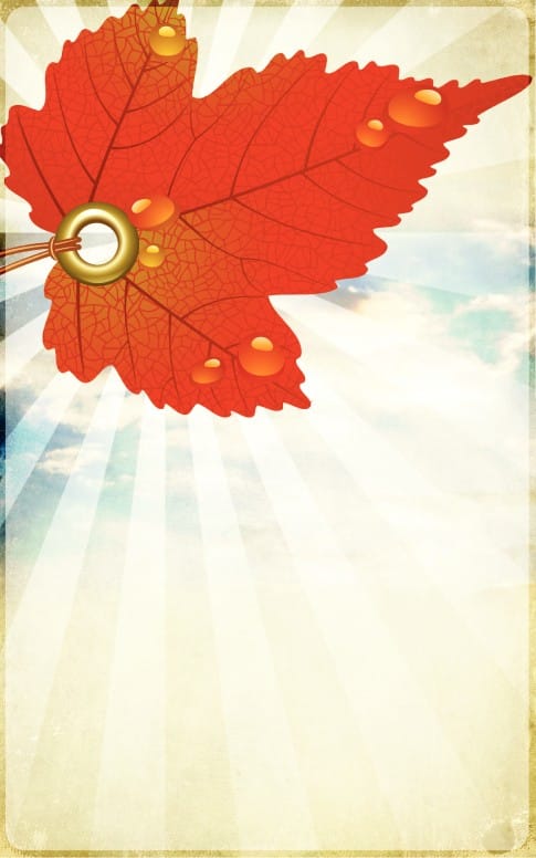Fall Leaf Decoration Church Bulletin