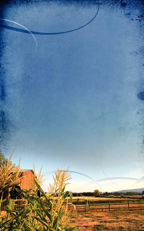 Field Church Bulletin