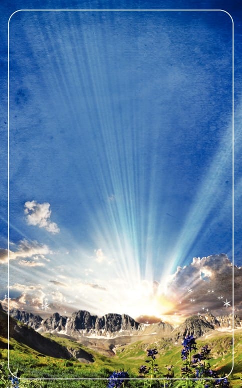 Ascension Beauty Bulletin Cover