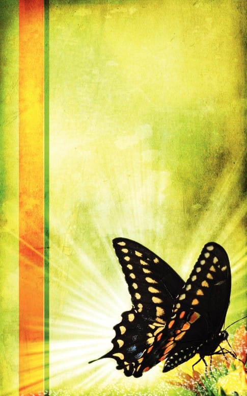 New Life Bulletin