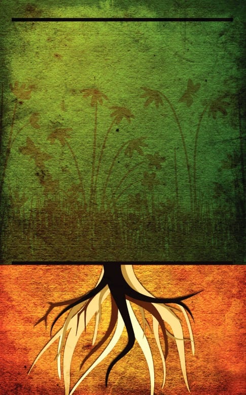 Rooted In The Word Bulletin