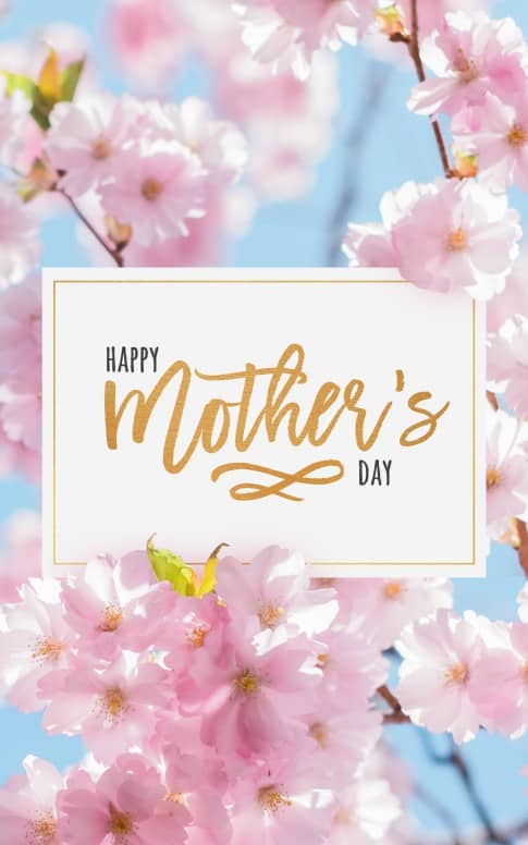 Mother's Day Cherry Blossom Church Bulletin Cover