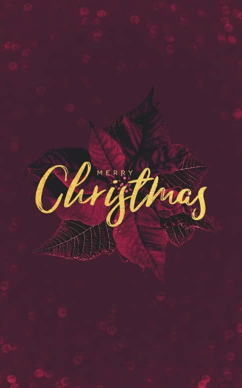 Merry Christmas Holly Service Bulletin