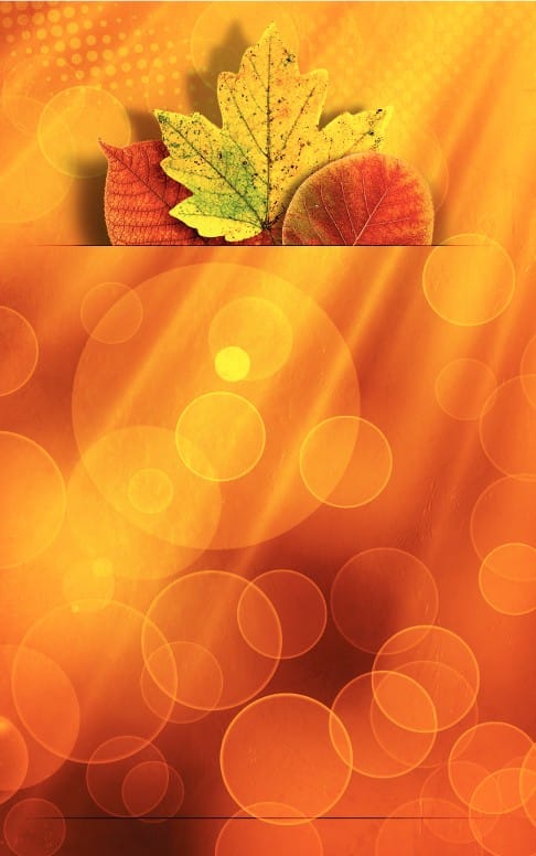 Happy Thanksgiving Church Bulletin Template