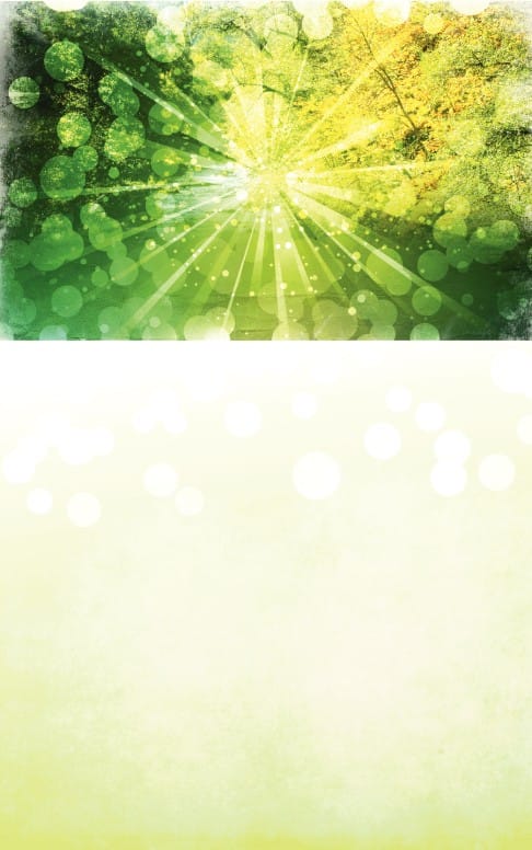 Alive Church Bulletin